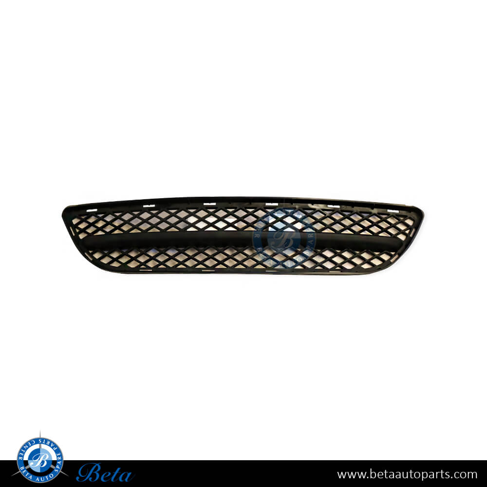 Front Bumper Lower Grill with Moulding for BMW 3 Series E90 2005-2008 models, Part Number 51117154556 Front Bumper Lower Grill with Moulding for BMW 3 Series E90 2005-2008 models, Part Number 51117154556